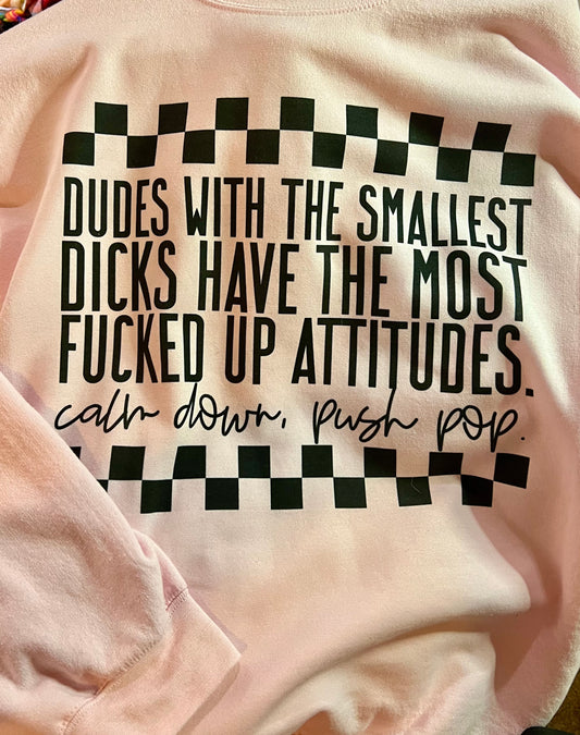 RTS Adult XL Dudes With The smallest Dicks.. light pink sweatshirt