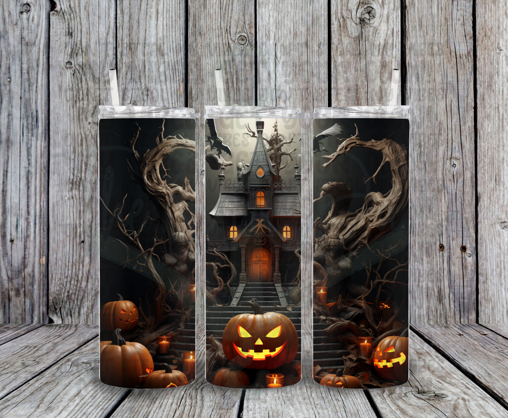 Haunted House 3D Drinkware
