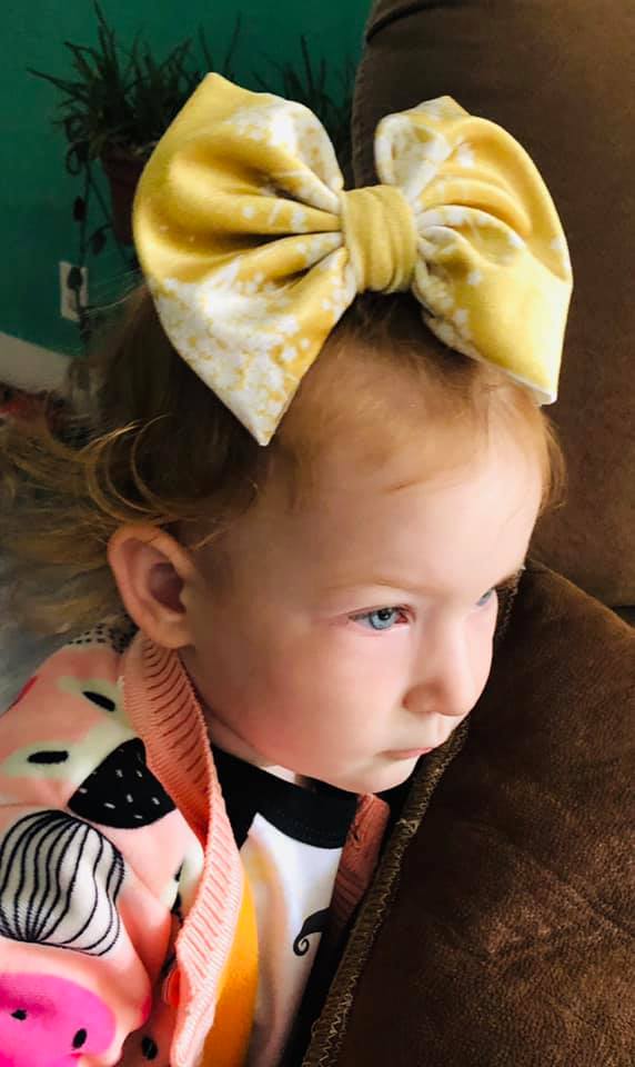 Baby's Breath Floral Velvet Bow