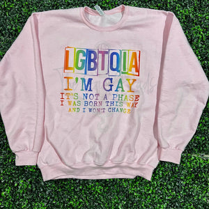 LGBTQIA I'm Gay Top Design